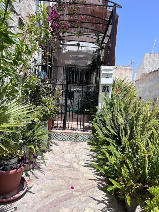 Apartamento Amazing Sea And Mountain View! Casita Pinata Salobreña Exterior foto